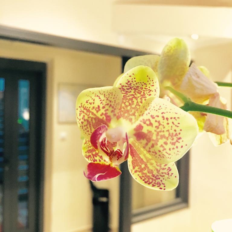 רומא Hotel Fiorenza חדר תמונה